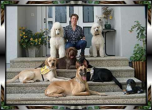 Blindenführhundeschule Gerstmann, Maria Gerstmann mit vielen Hunden auf Treppe vor Haus