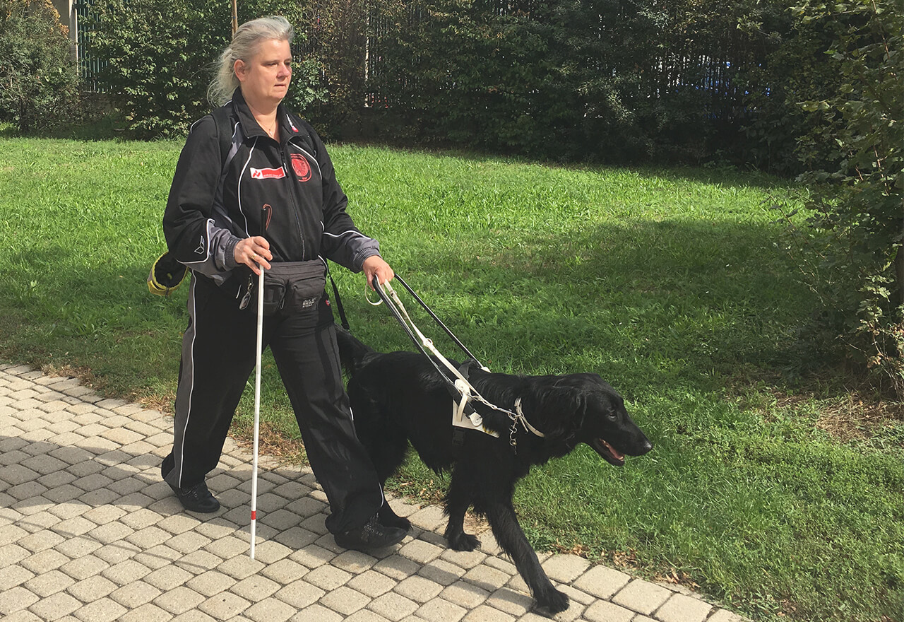 Arya führt Sabine einen Weg entlang. Neben dem Weg ist eine Grünfläche.